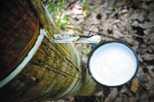 6��50�������ɾ�һ���齺��